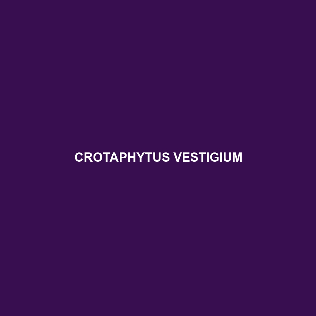 Crotaphytus vestigium