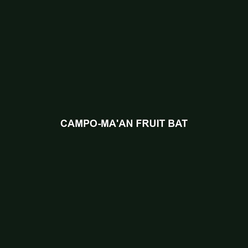 Campo-Ma'an Fruit Bat