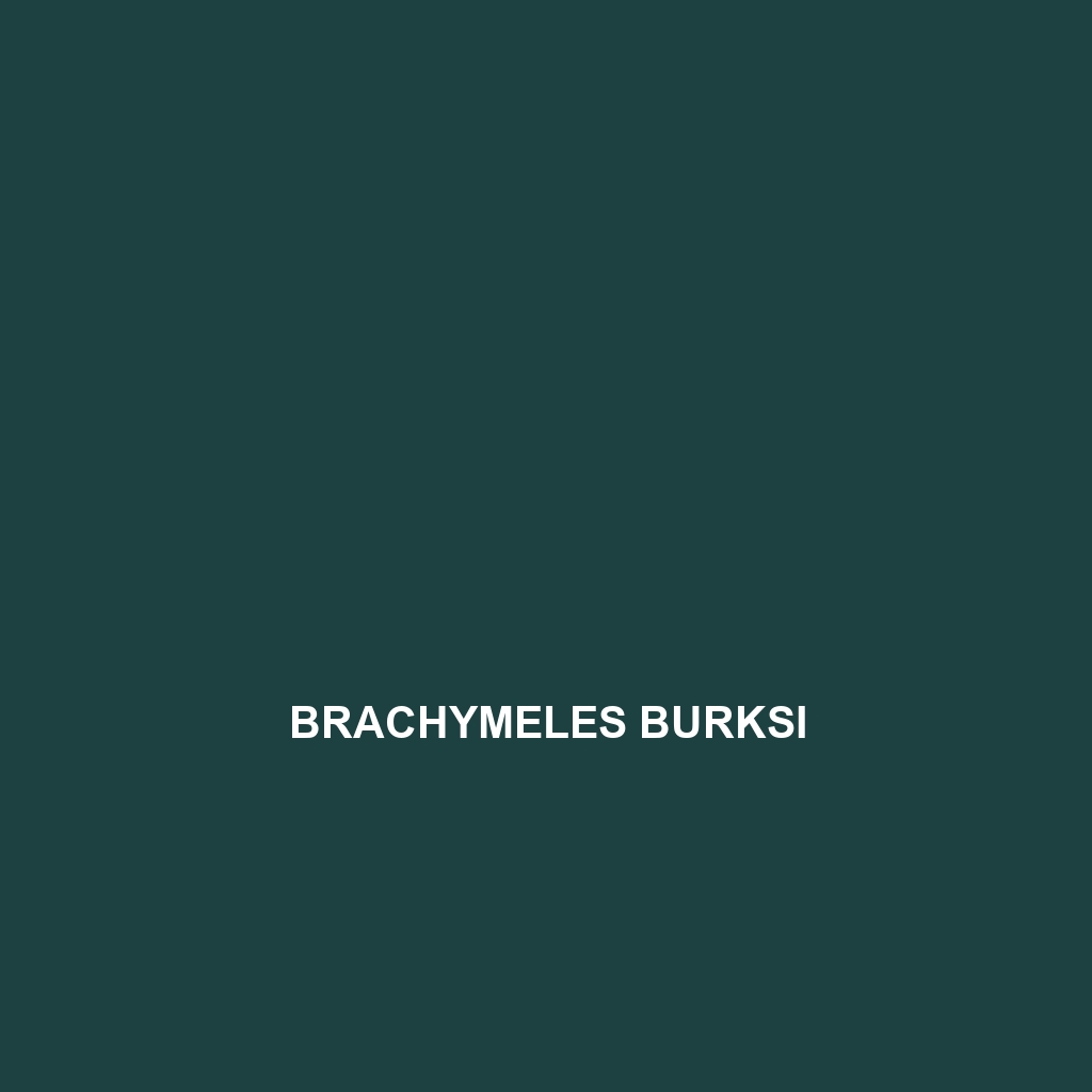 Brachymeles burksi