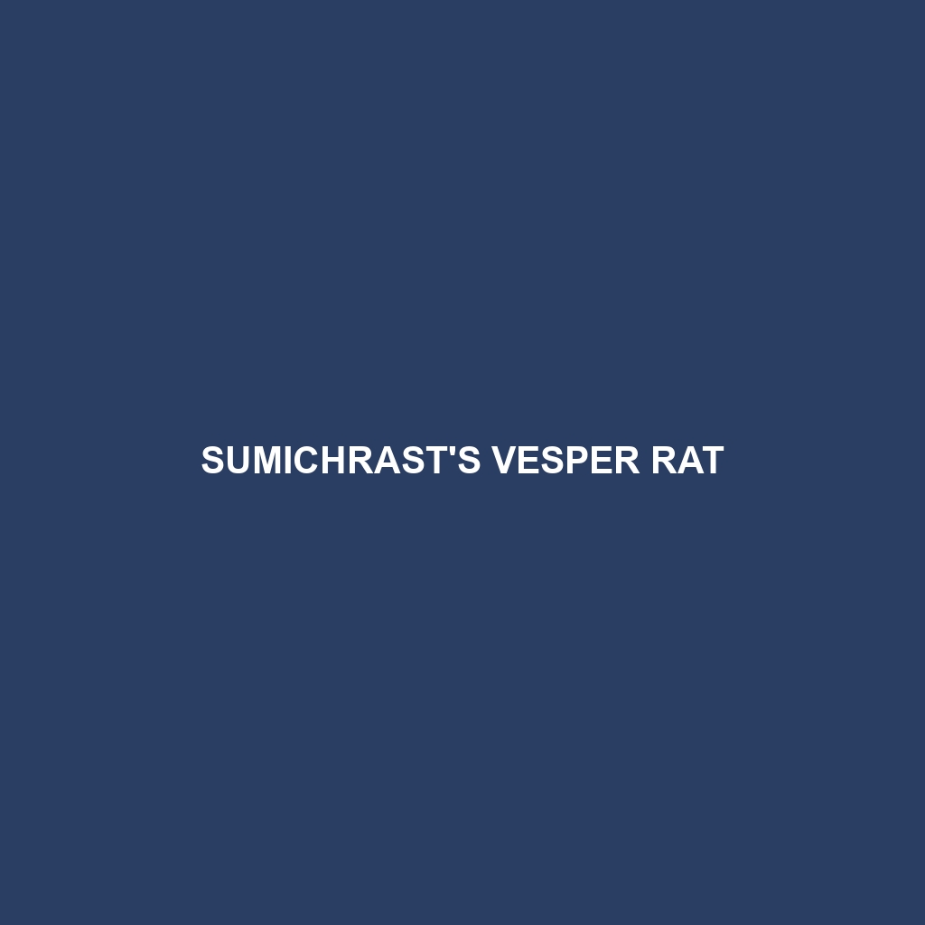 Sumichrast's Vesper Rat