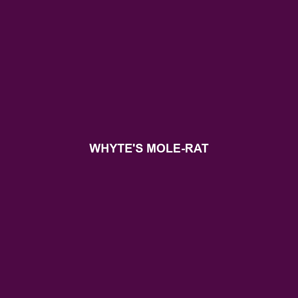 Whyte's Mole-rat