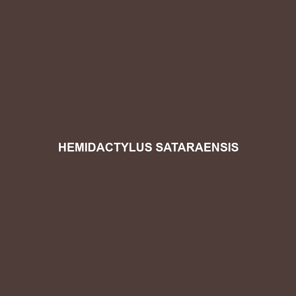 Hemidactylus sataraensis