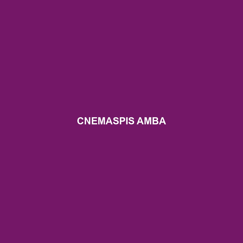 Cnemaspis amba