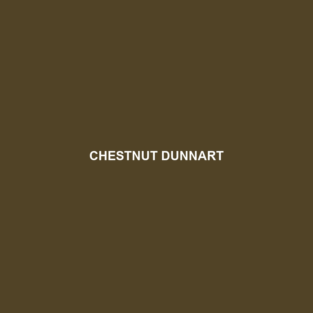 Chestnut Dunnart