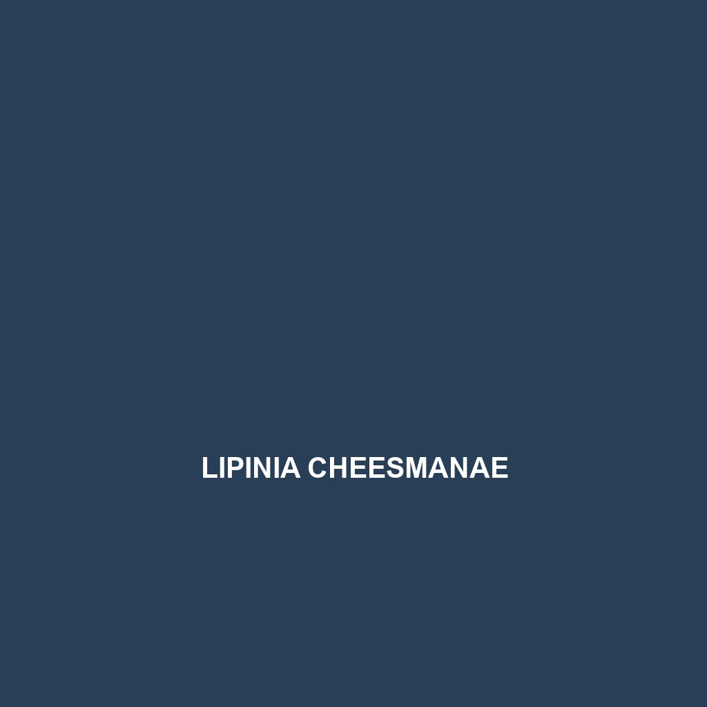 Lipinia cheesmanae