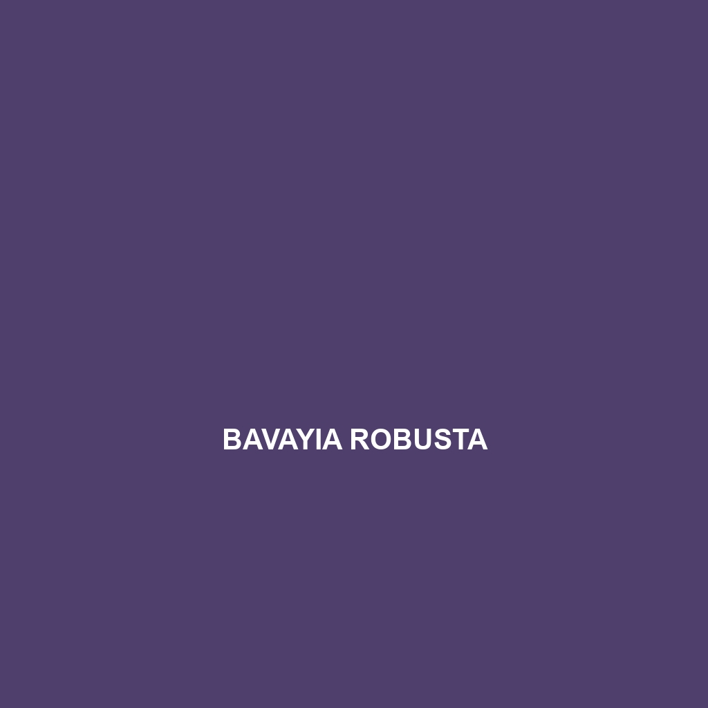 Bavayia robusta