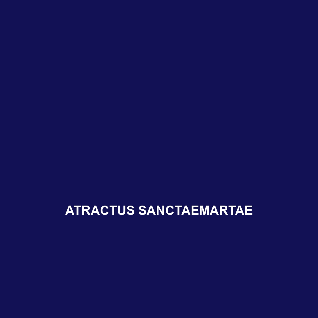 Atractus sanctaemartae