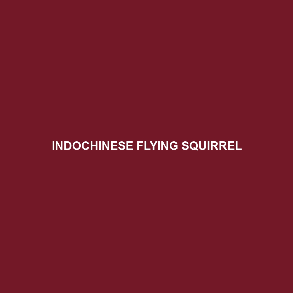 Indochinese Flying Squirrel