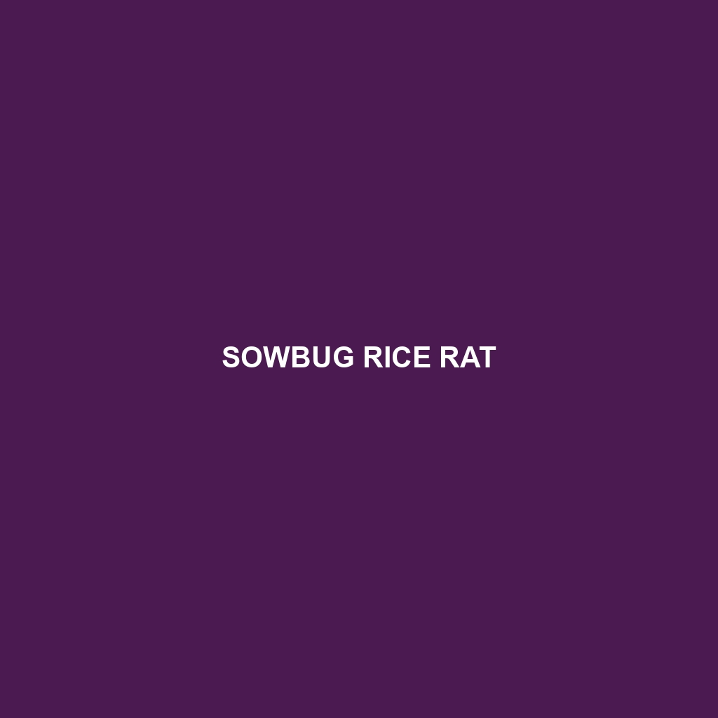 Sowbug Rice Rat