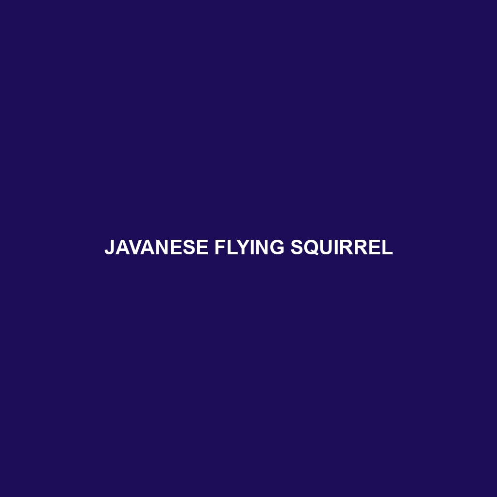 Javanese Flying Squirrel