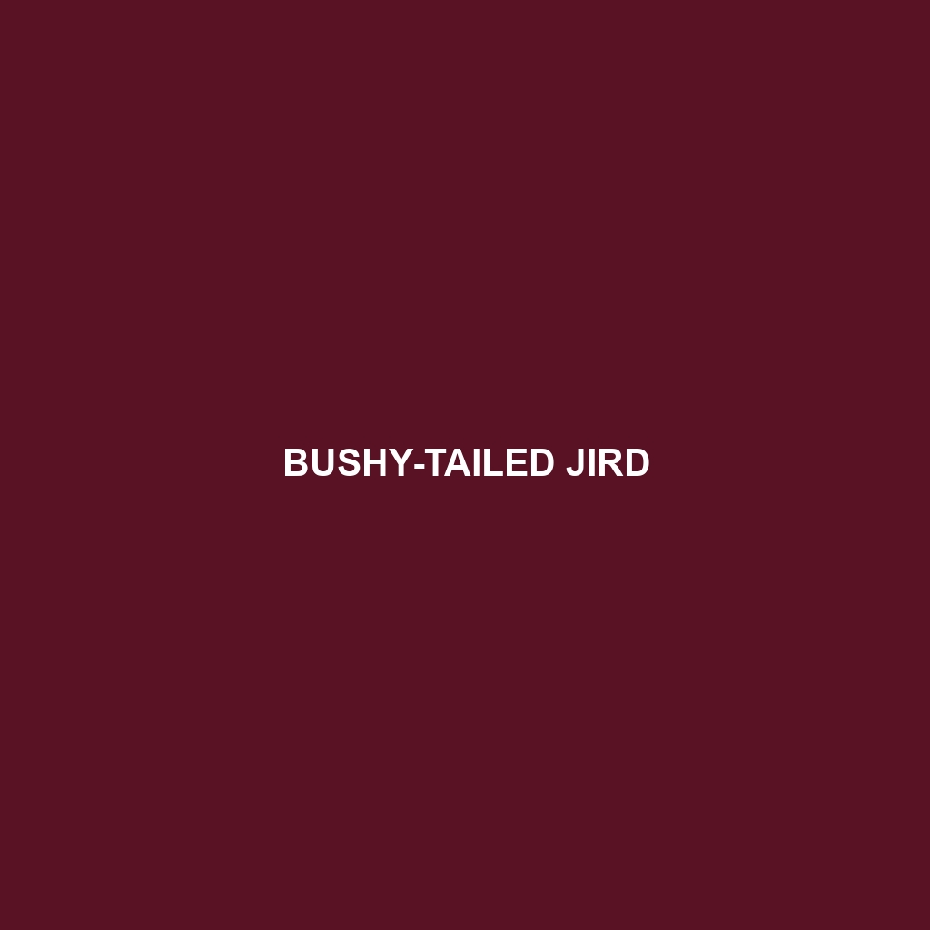 Bushy-tailed Jird