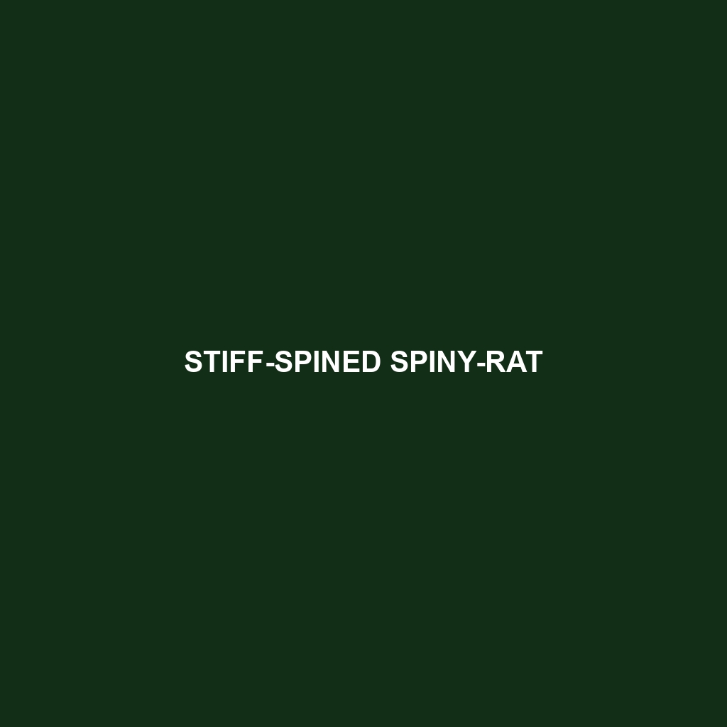 Stiff-spined Spiny-rat