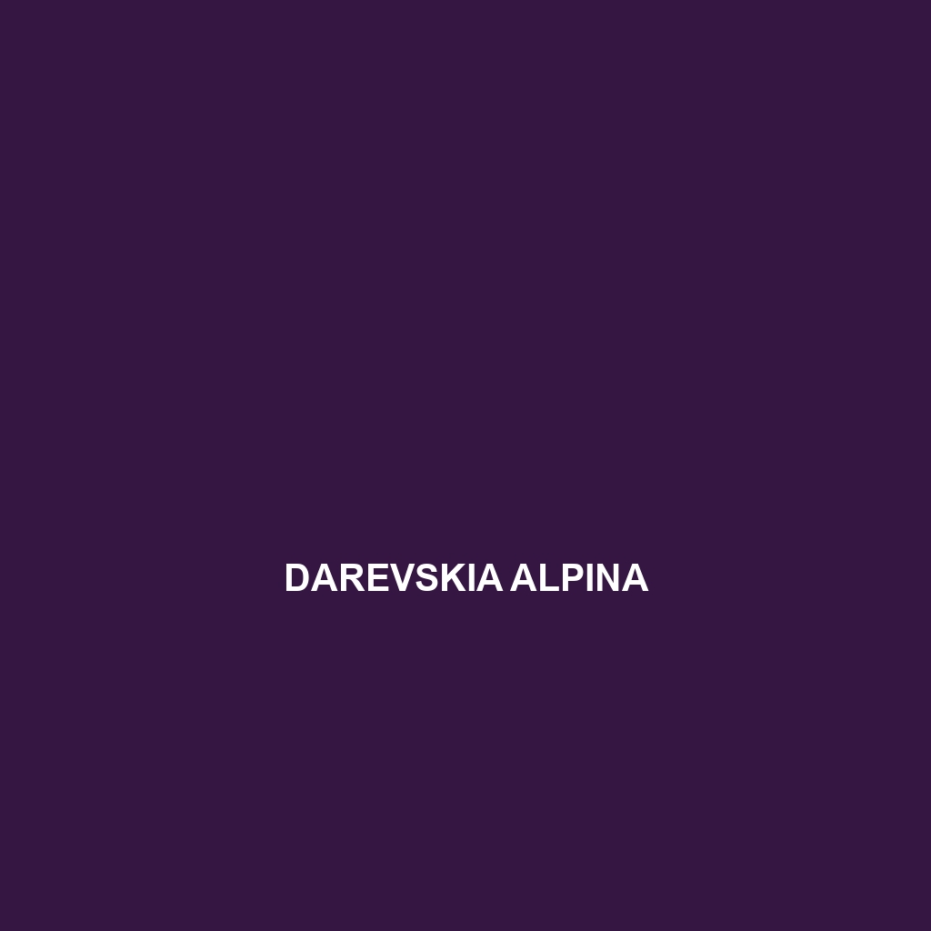 Darevskia alpina