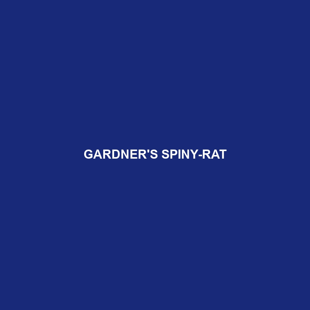 Gardner's Spiny-rat