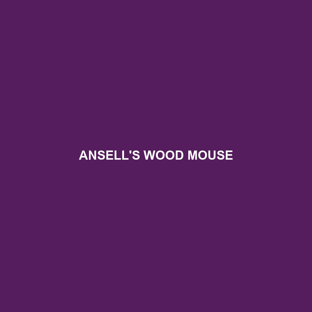 Ansell's Wood Mouse