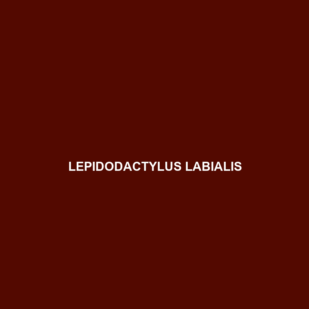 Lepidodactylus labialis