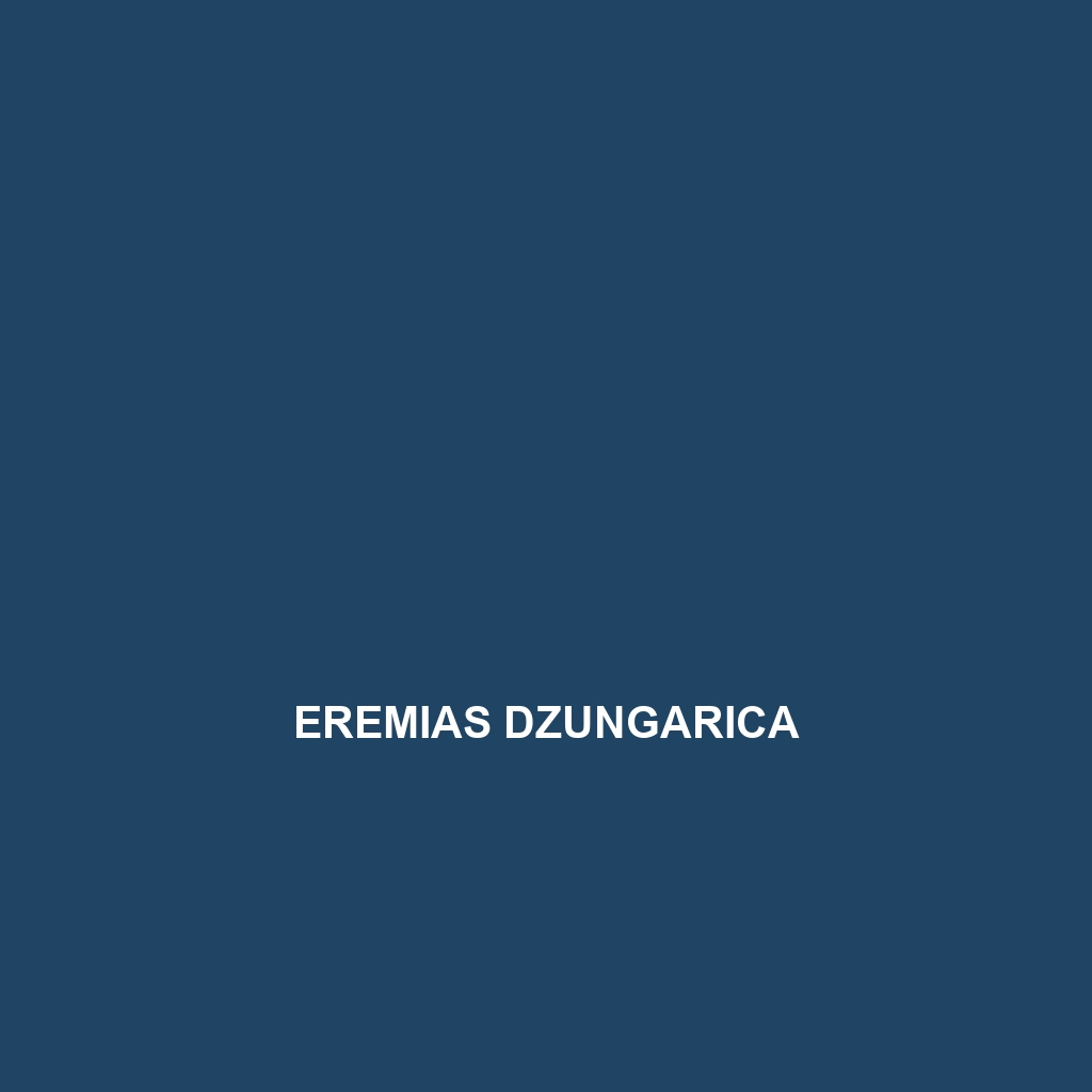 Eremias dzungarica