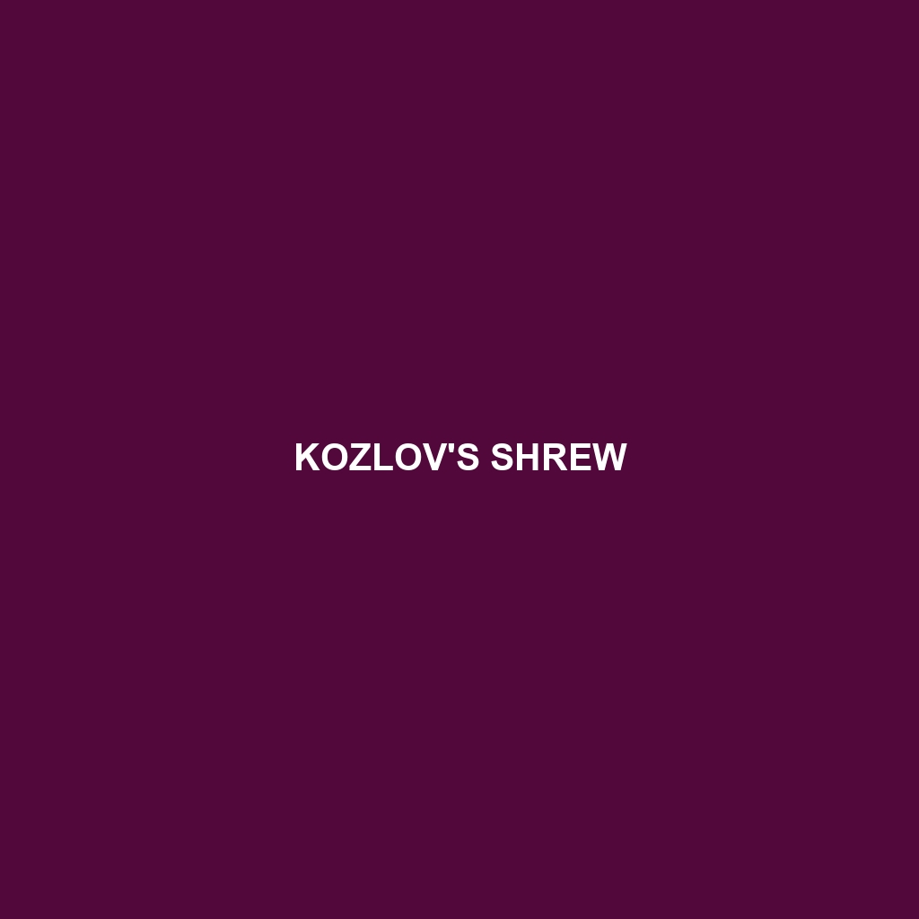 Kozlov's Shrew