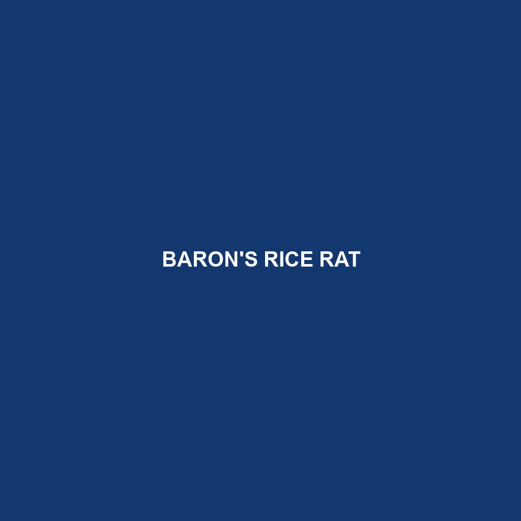 Baron's Rice Rat