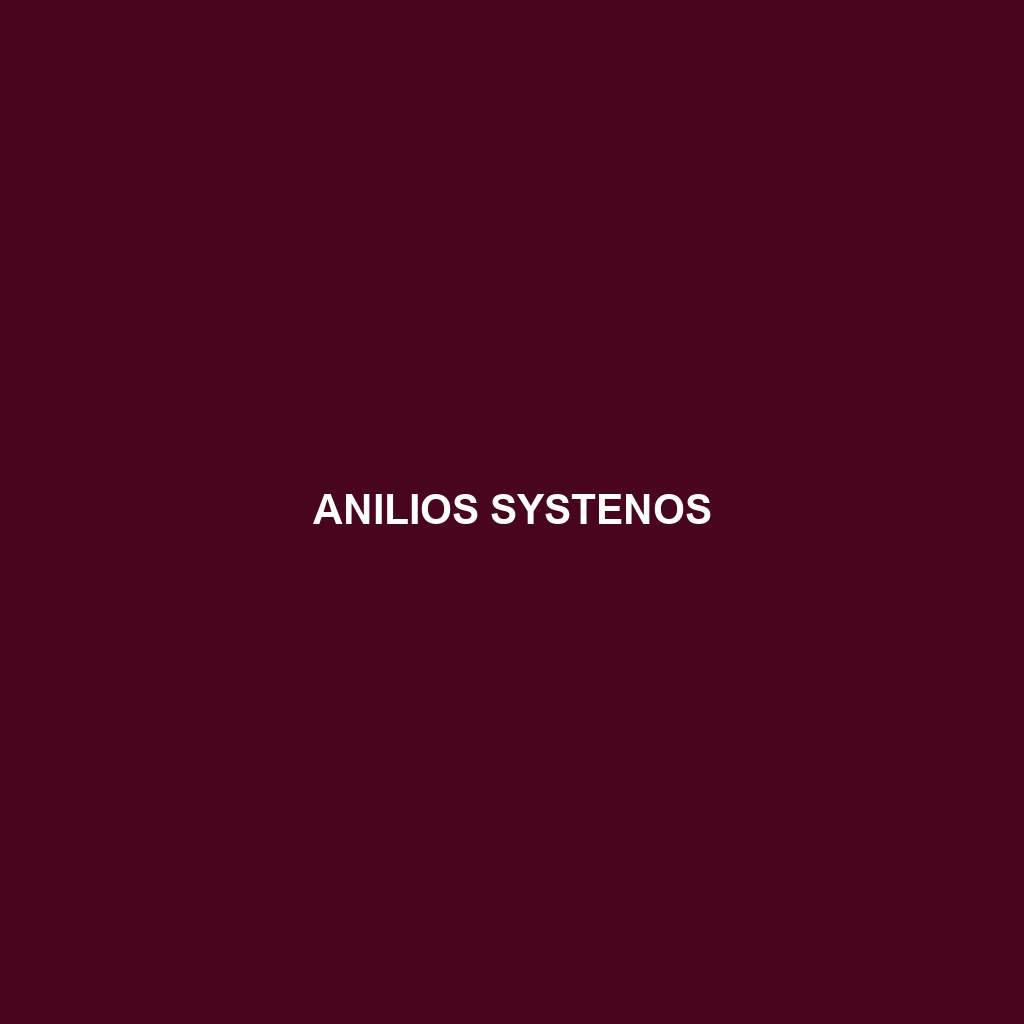 Anilios systenos