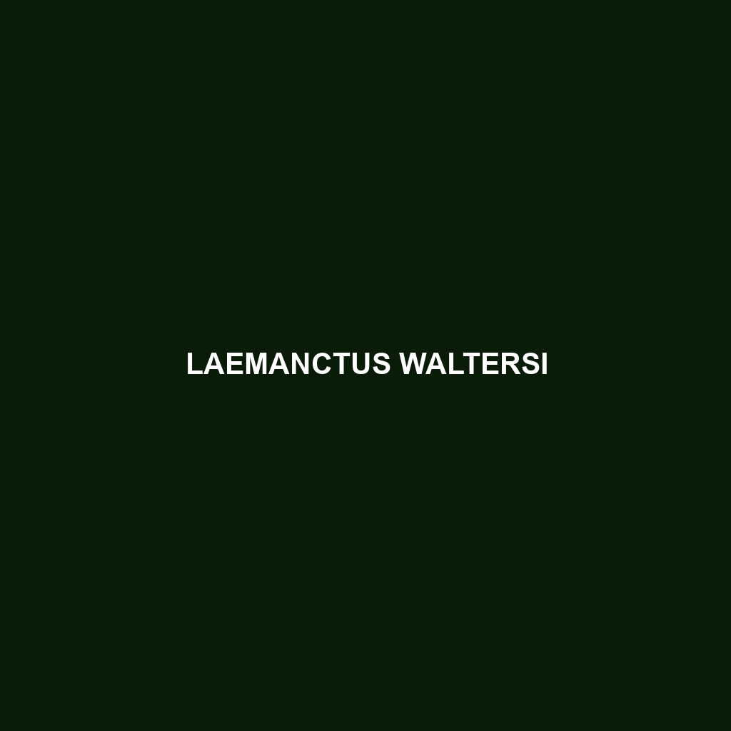 Laemanctus waltersi