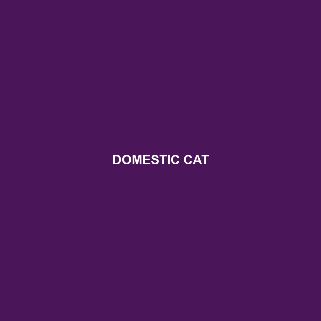 Domestic Cat