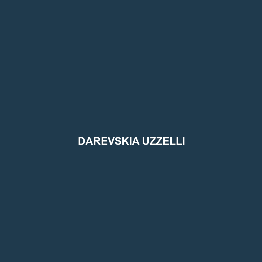 Darevskia uzzelli