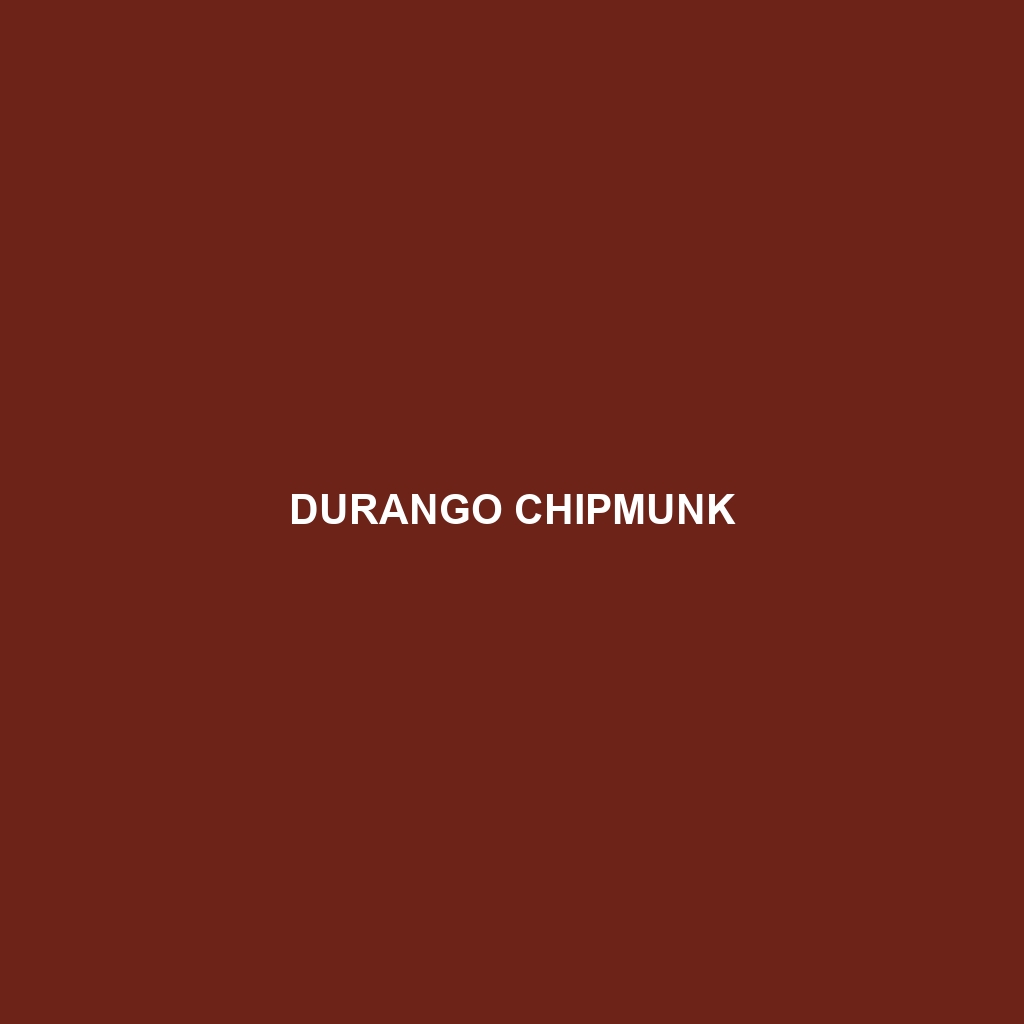 Durango Chipmunk