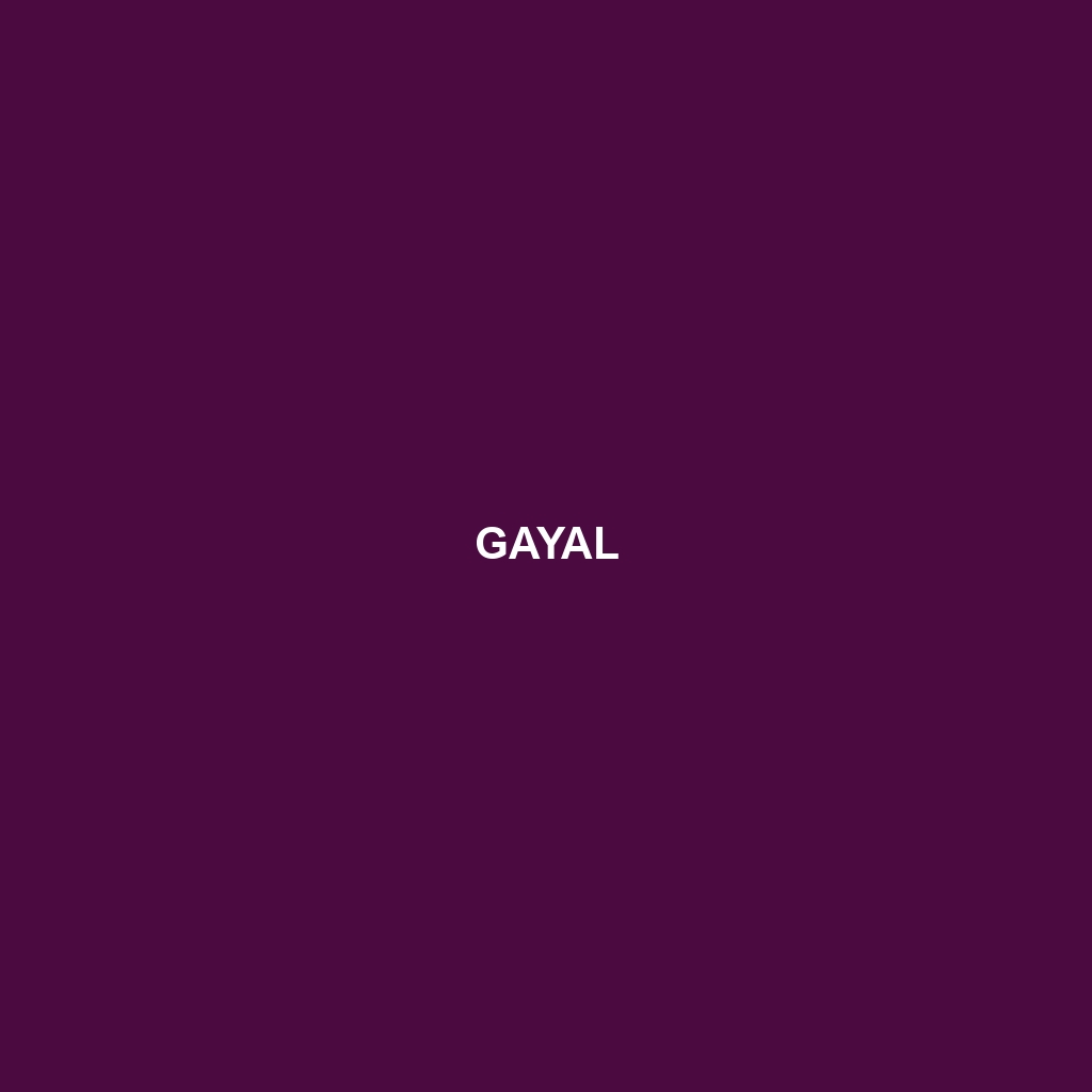 Gayal