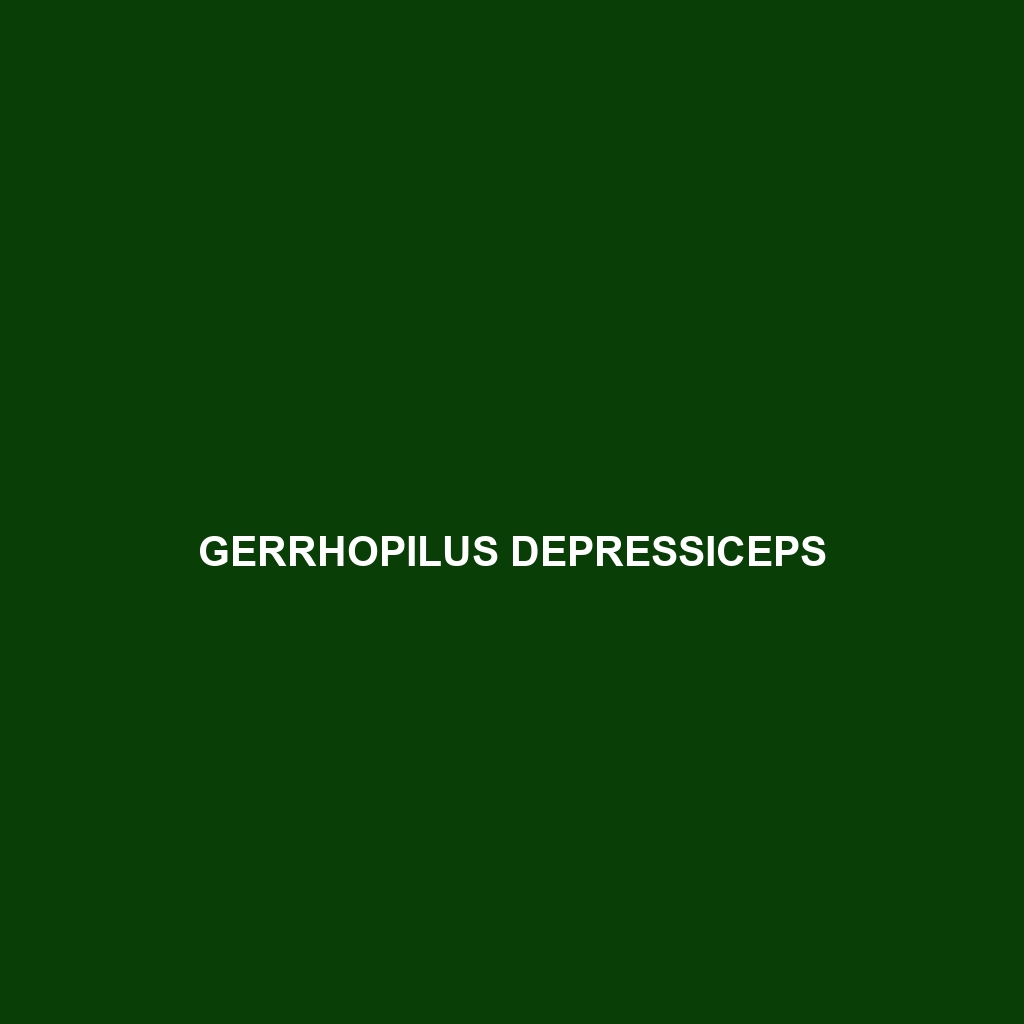 Gerrhopilus depressiceps