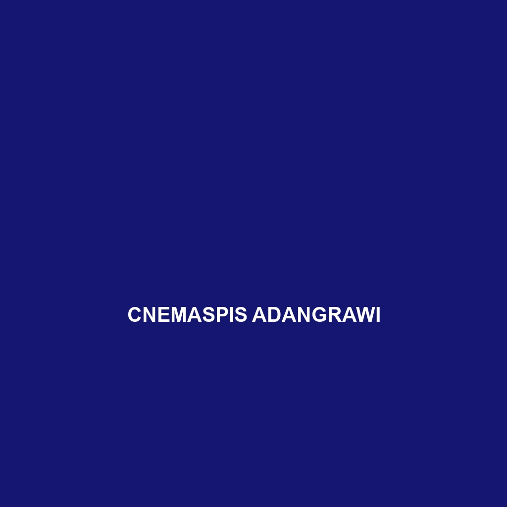 Cnemaspis adangrawi