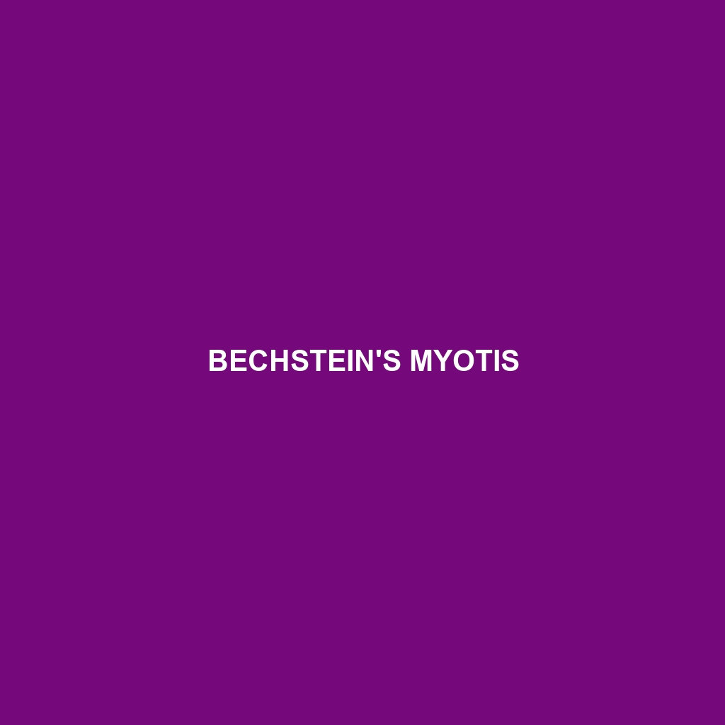 Bechstein's Myotis