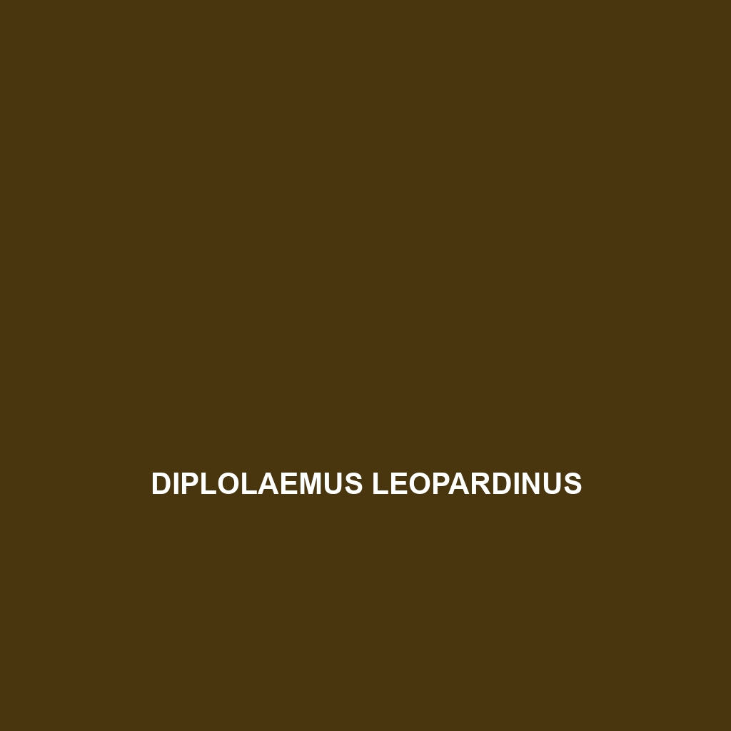 Diplolaemus leopardinus