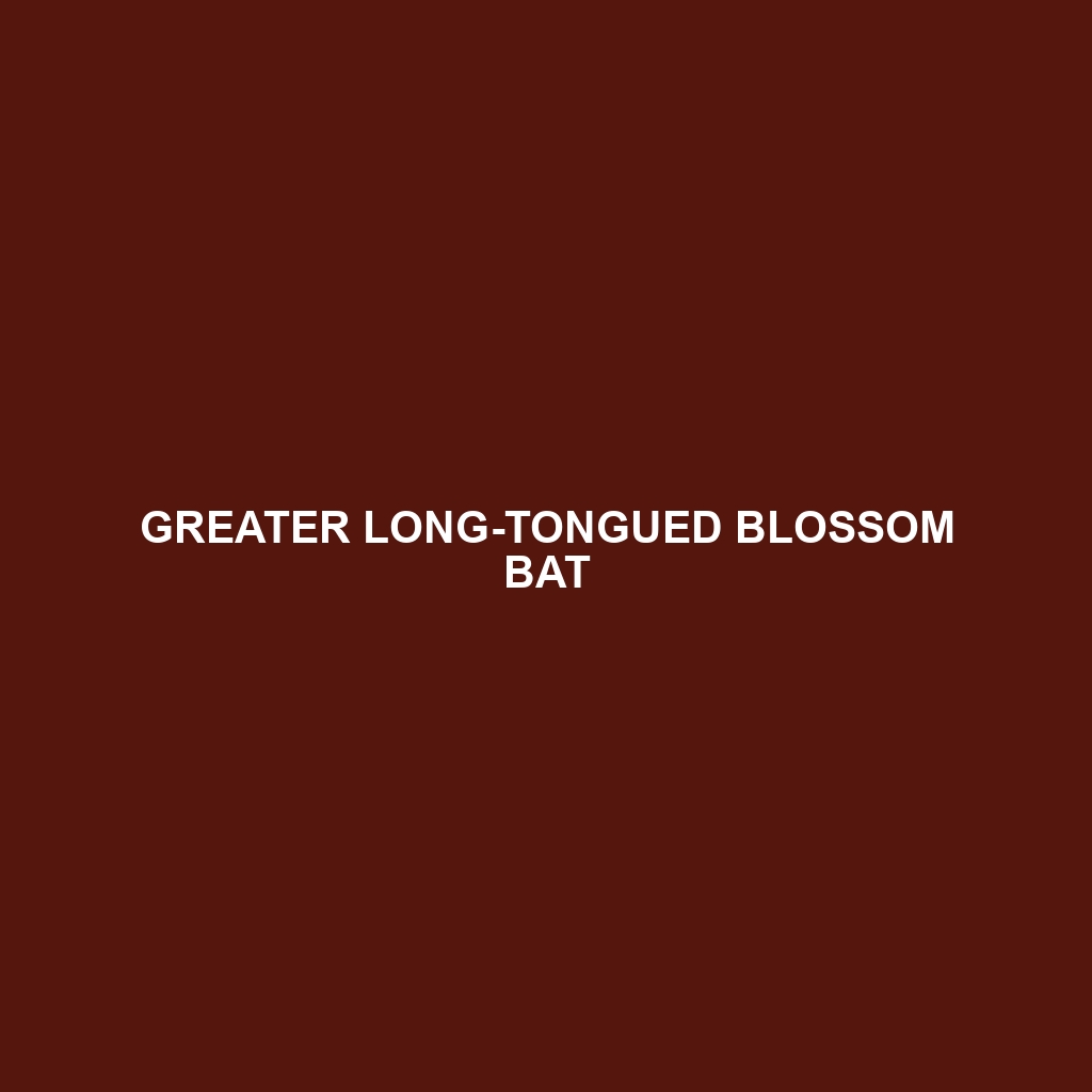 Greater Long-tongued Blossom Bat