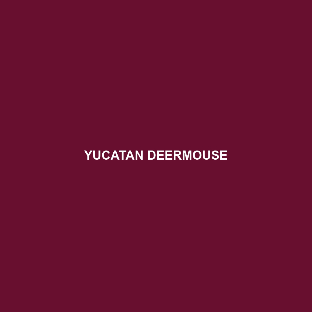 Yucatan Deermouse