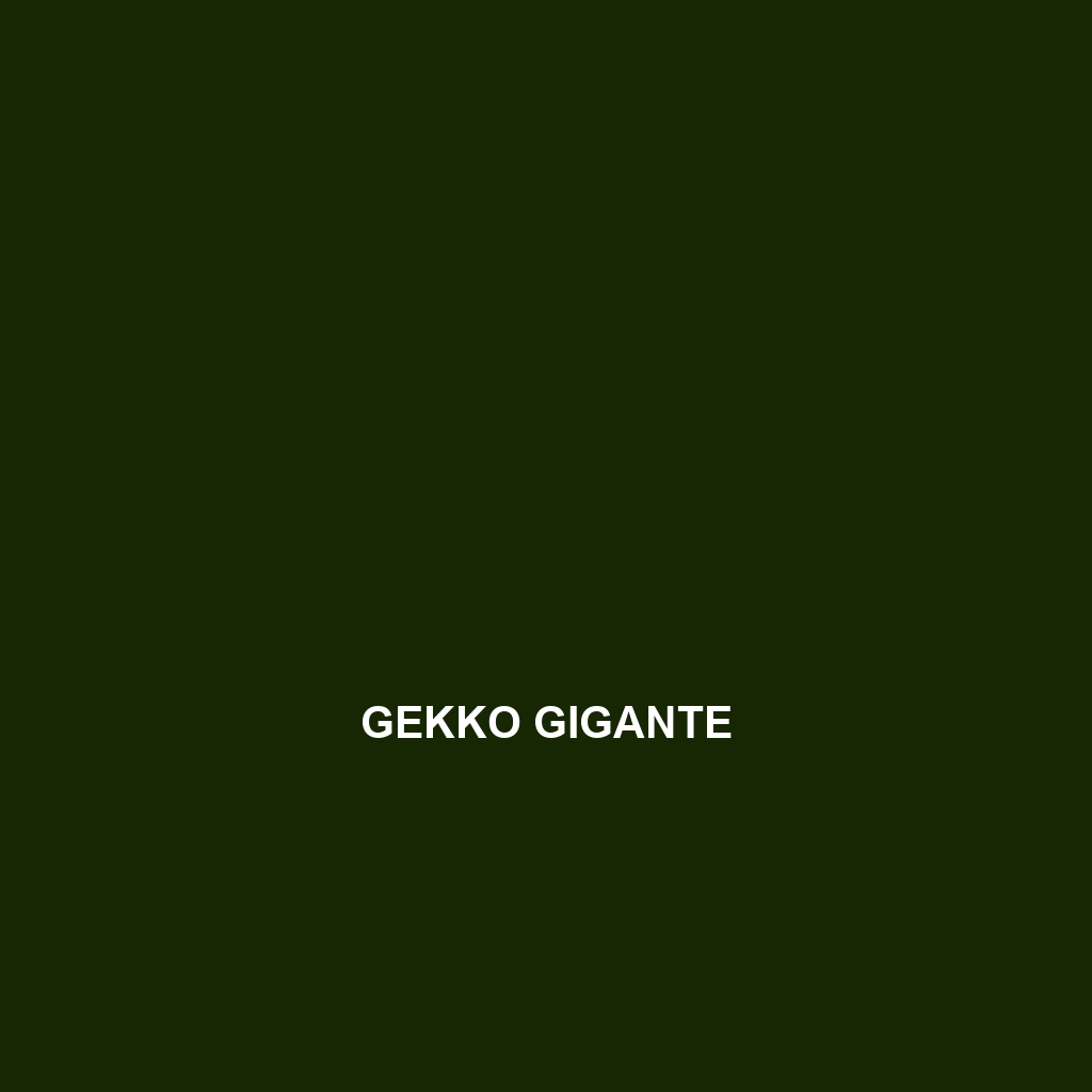 Gekko gigante