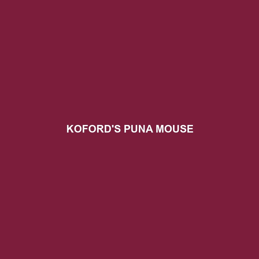 Koford's Puna Mouse