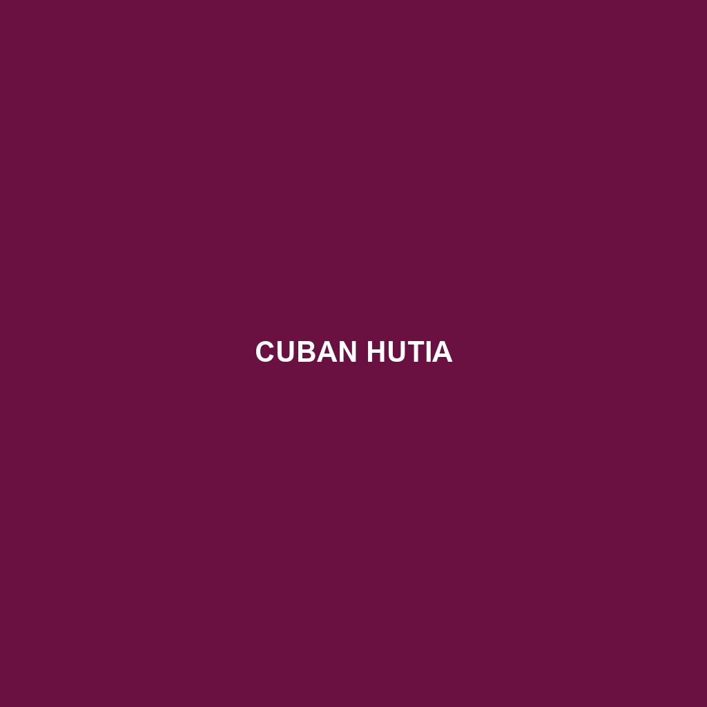 Cuban Hutia