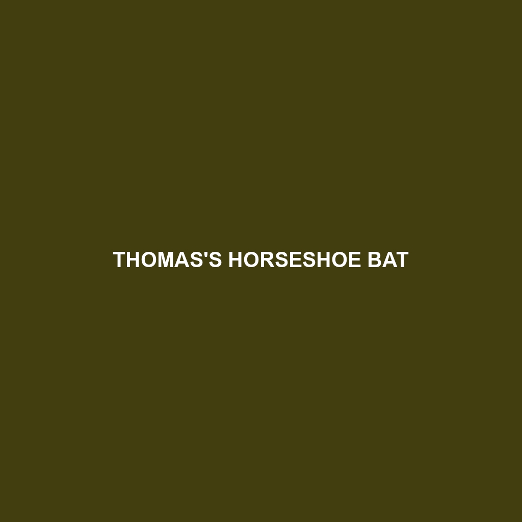 Trefoil Horseshoe Bat