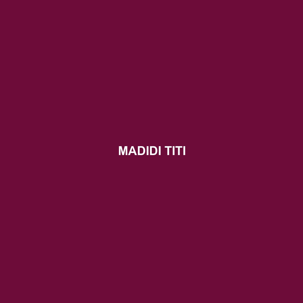 Madidi Titi