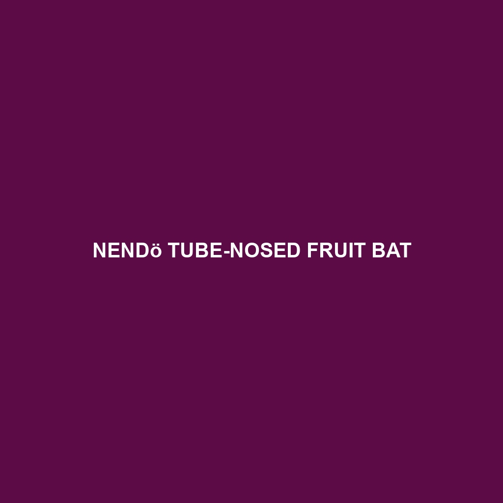 Nendö Tube-nosed Fruit Bat