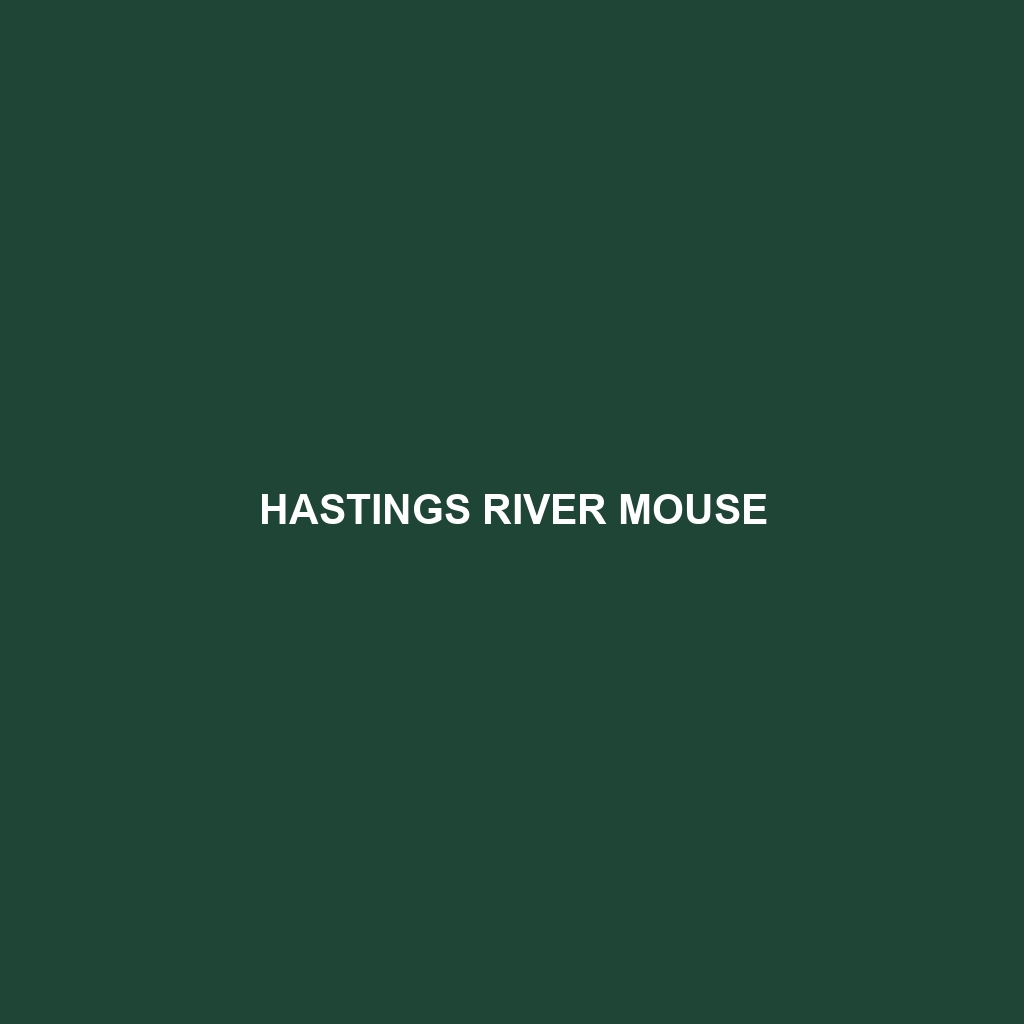 Hastings River Mouse