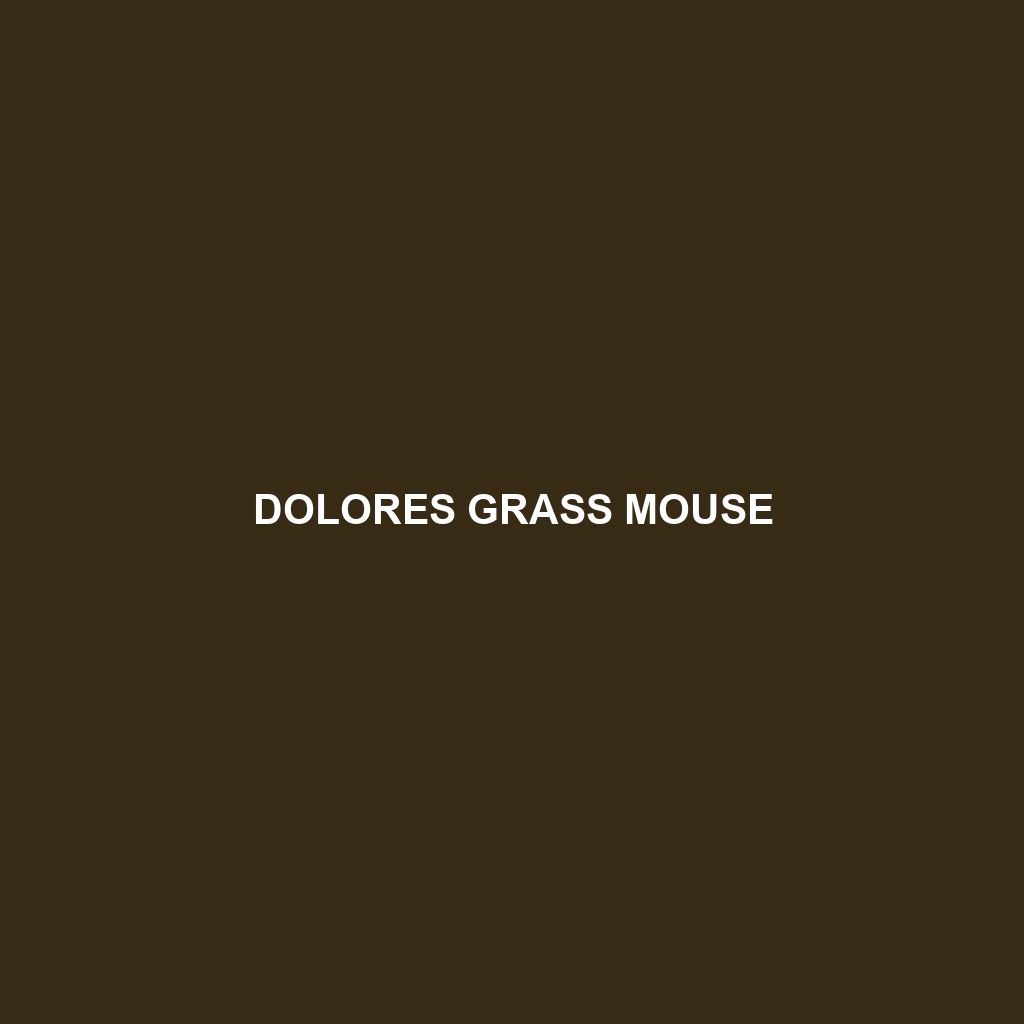 Dolores Grass Mouse