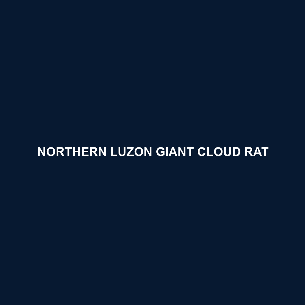 Northern Luzon Giant Cloud Rat