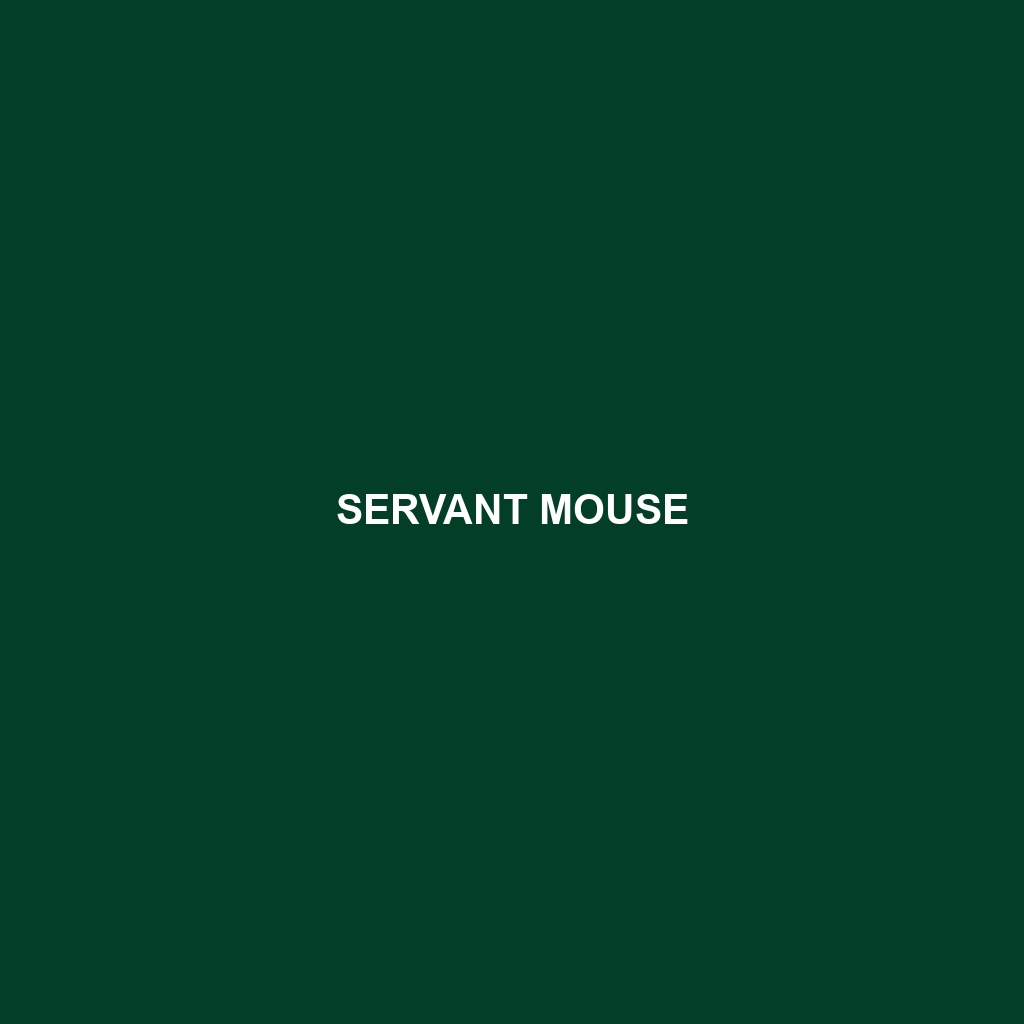 Servant Mouse