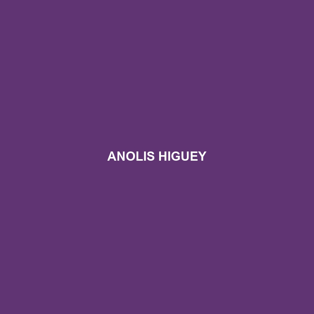 Anolis higuey