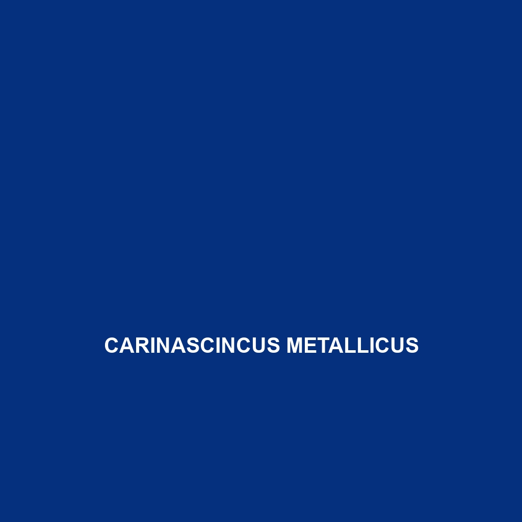 Carinascincus metallicus