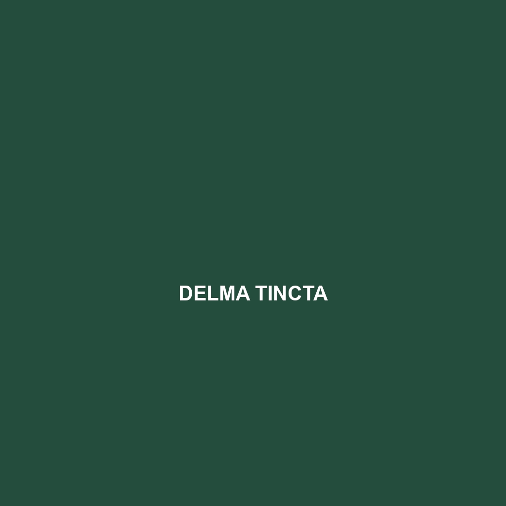 Delma tincta