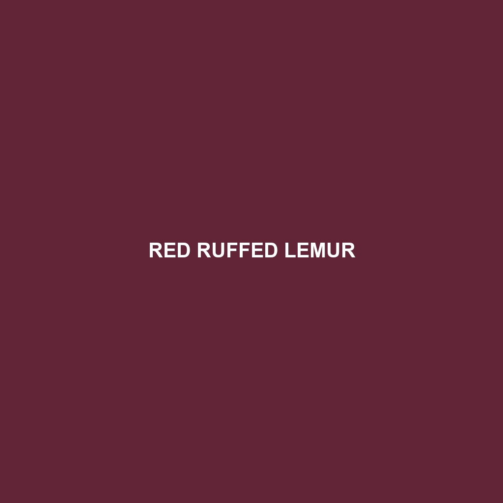 Red Ruffed Lemur