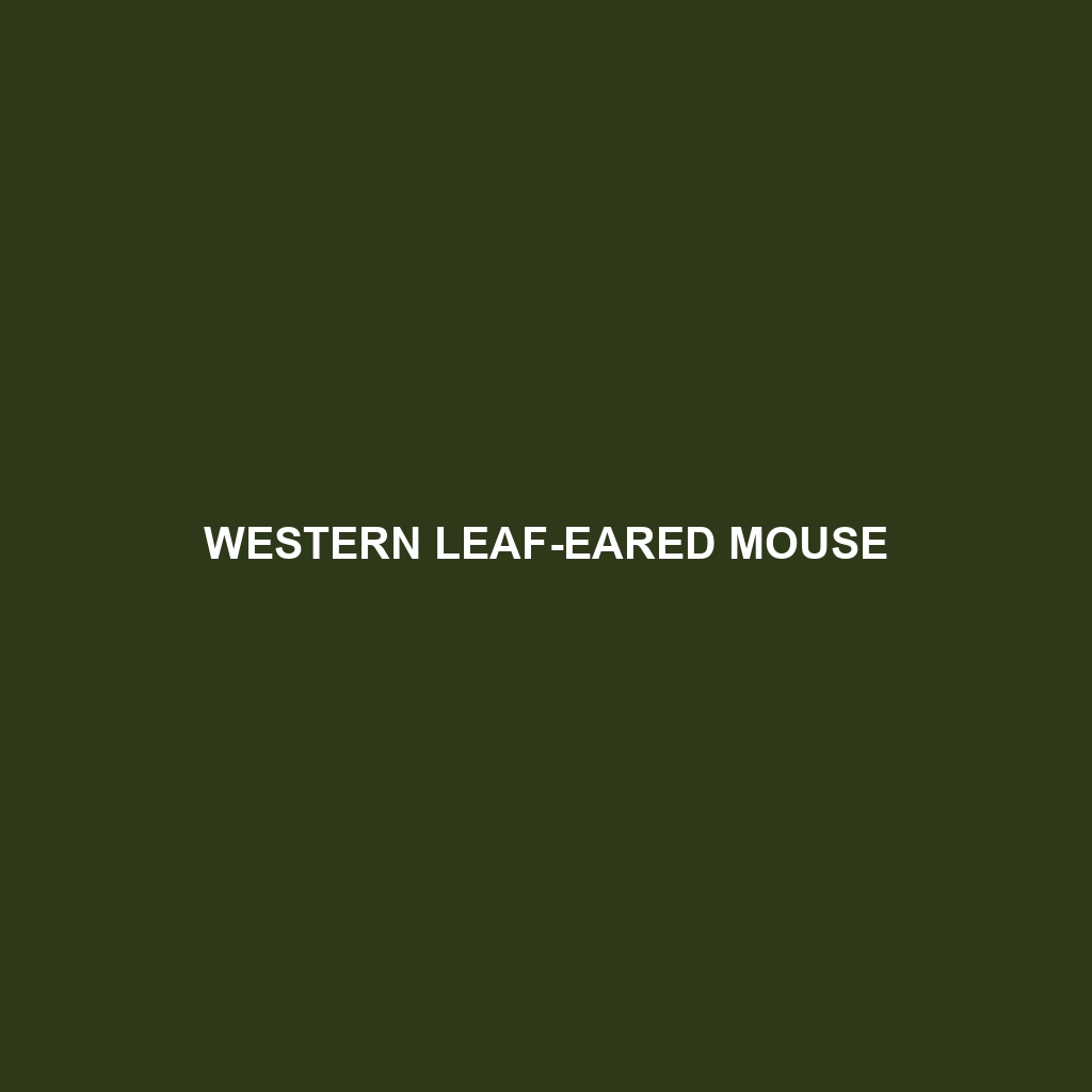 Western Leaf-eared Mouse